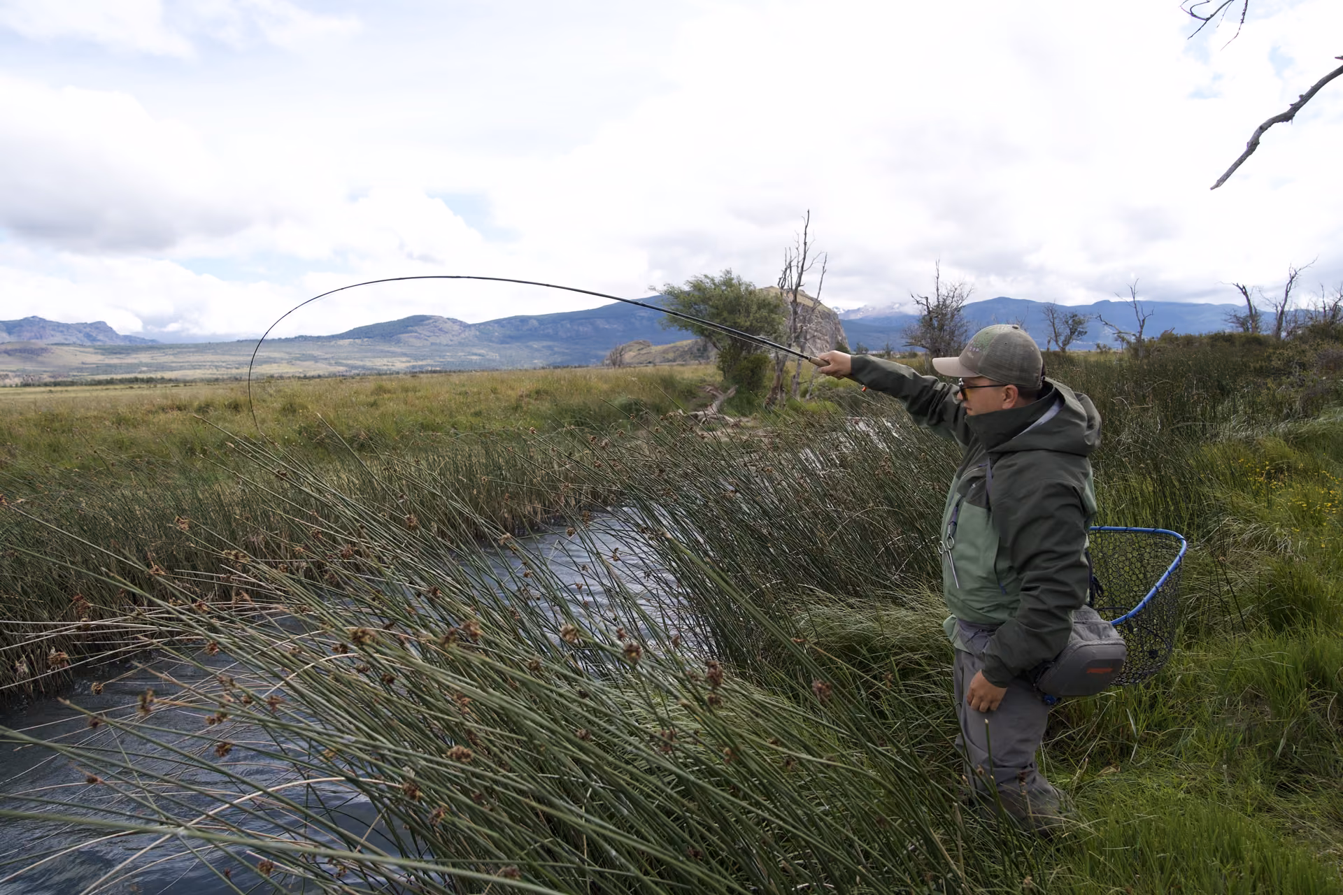 An angler casting a fly line over a spring creek lined with reeds near Coyhaique