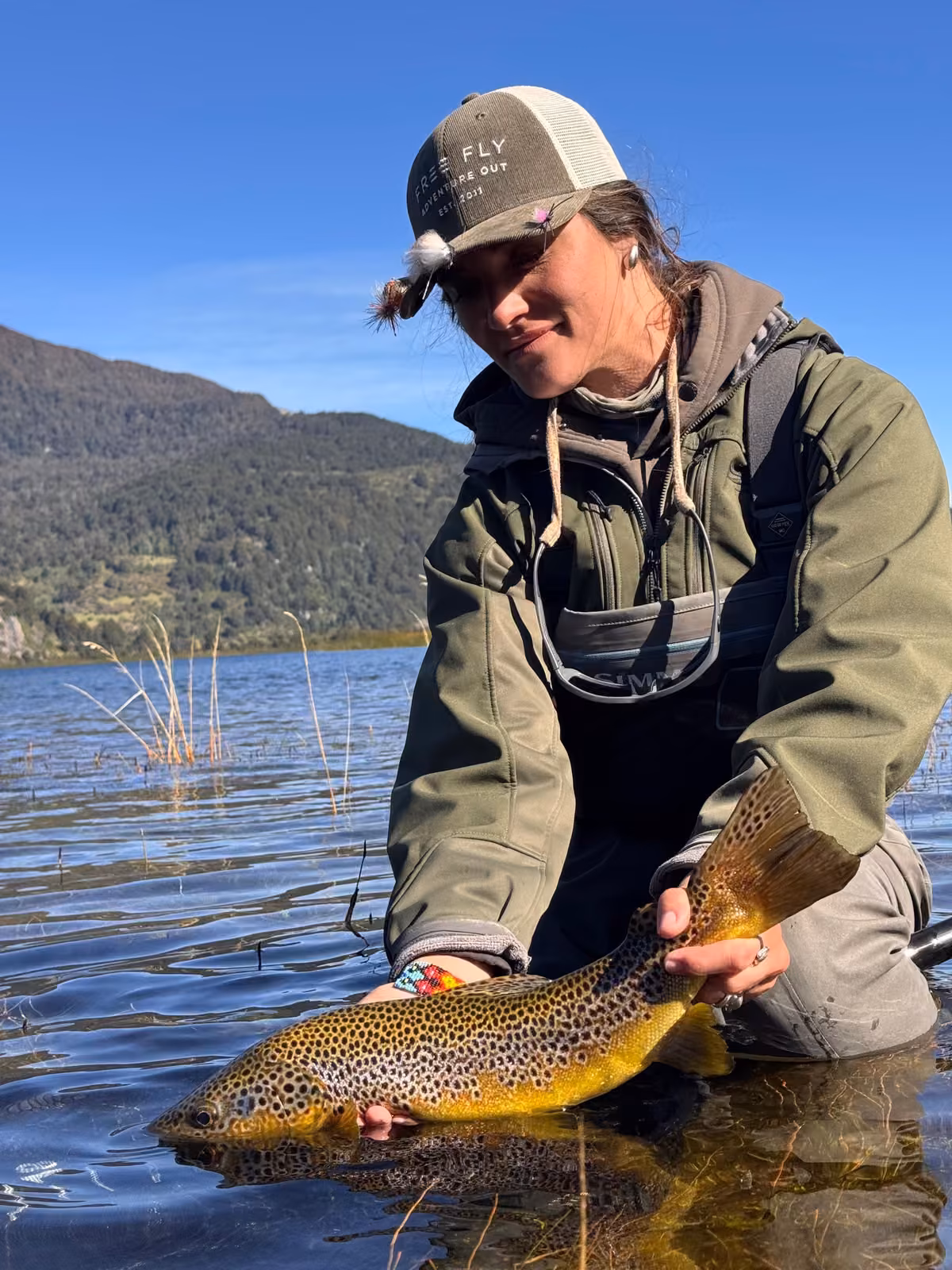 An angler in a cap crouches in shallow lake water and lifts a spotted brown trout, reeds and a forested mountain behind, Coyhaique, Chilean Patagonia