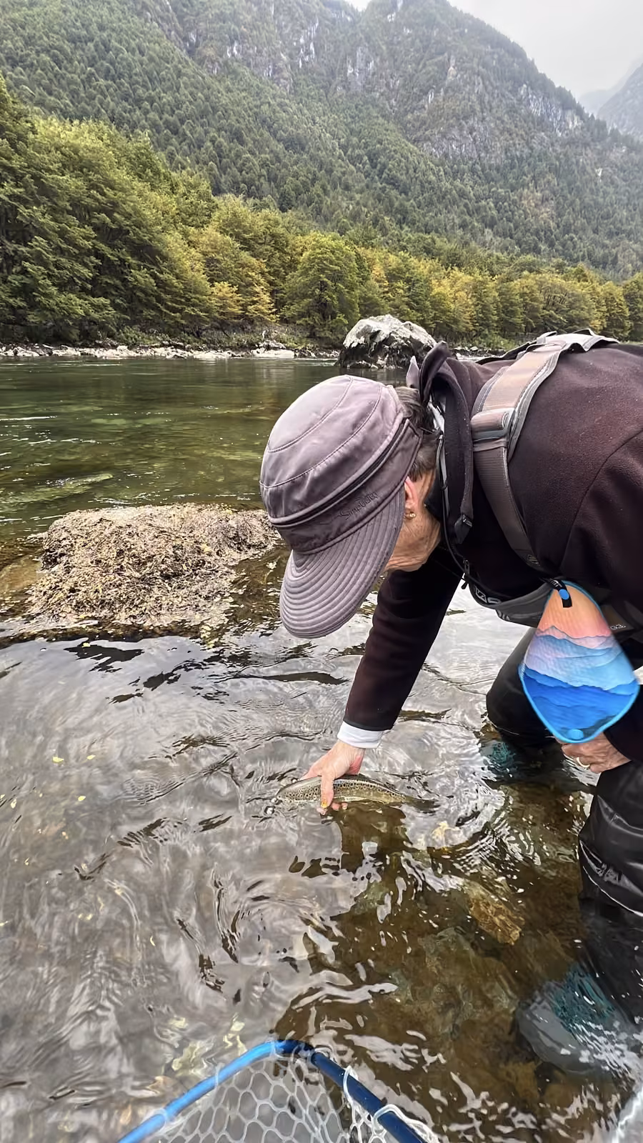 An angler in a cap bends over clear river water and gently releases a spotted trout, a landing net in the foreground, Coyhaique, Chilean Patagonia