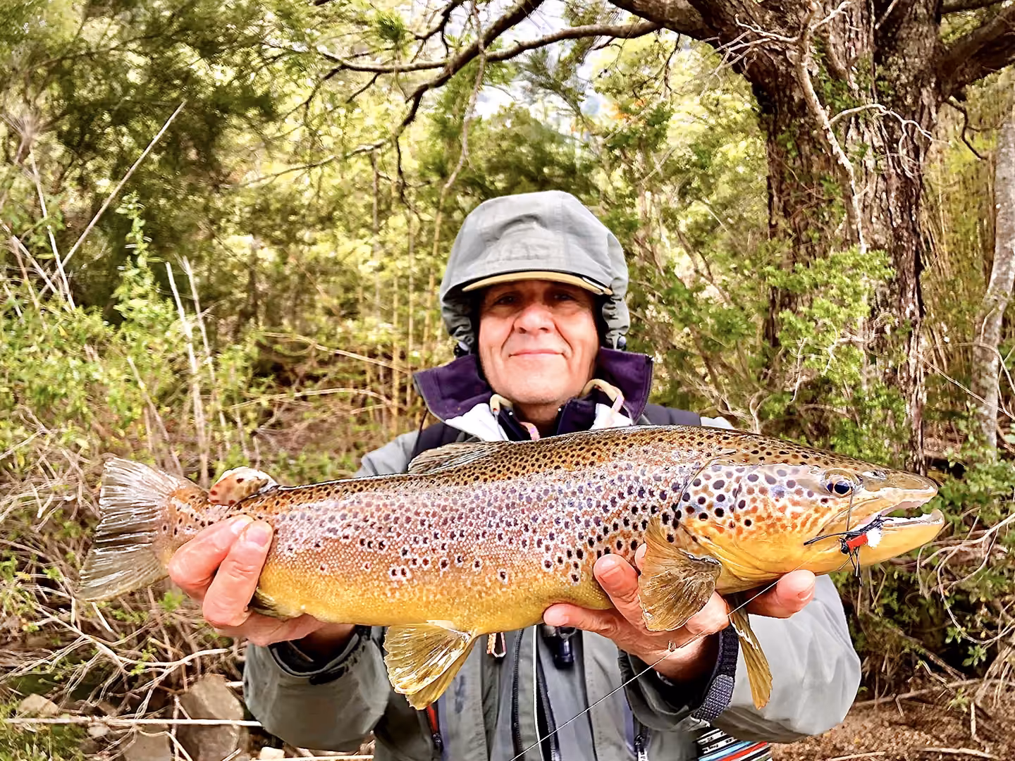 Massive wild brown trout captured with a Fat Albert in Coyhaique
