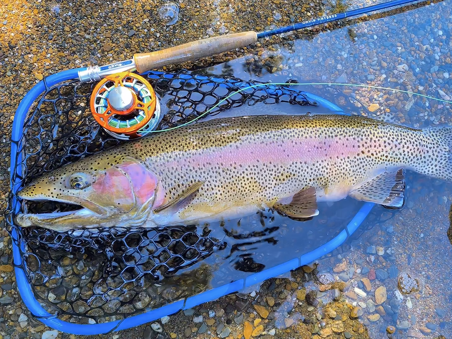 Angler working heavy, thaw-fed current on a Patagonian freestone river in early season