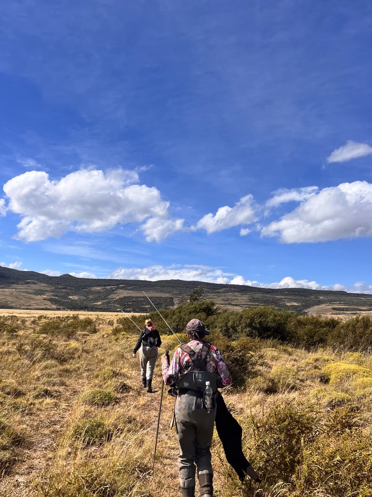 Two anglers in waders carrying fly rods walk a trail through yellow-green steppe scrub toward rolling hills under a wide blue sky, Coyhaique, Chilean Patagonia