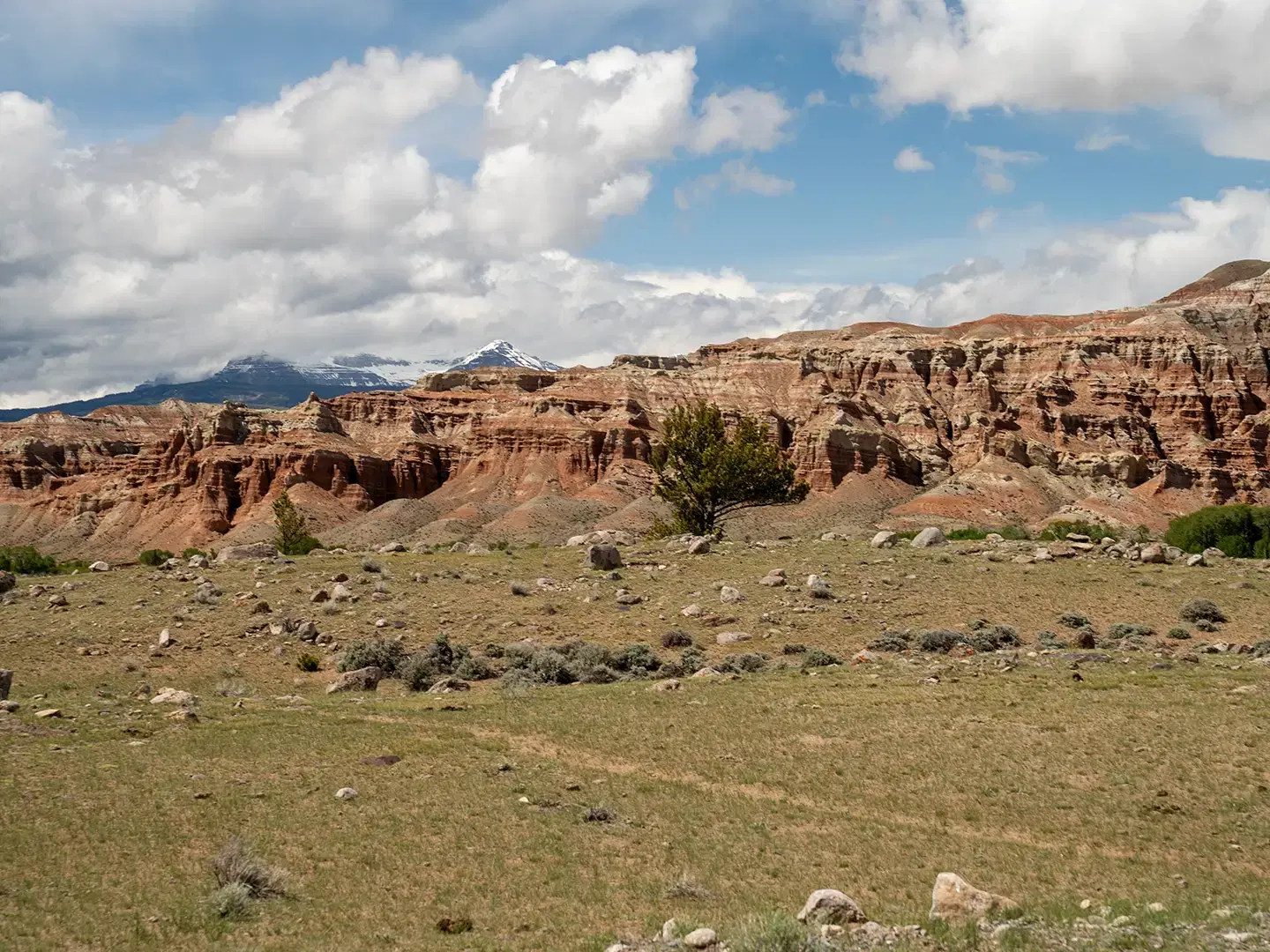 Red-rock badlands and Wind River Range peaks near Dubois, Wyoming