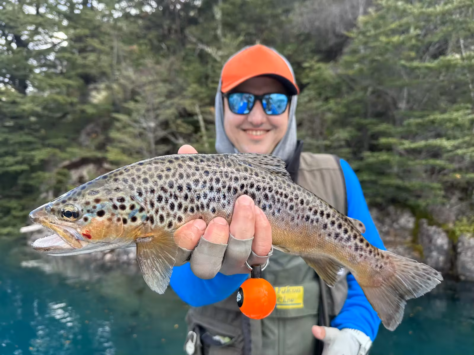Close-up of a silvery brown trout's flank covered in black spots, held over the turquoise water of Lago Azul with forest behind, Coyhaique, Chilean Patagonia