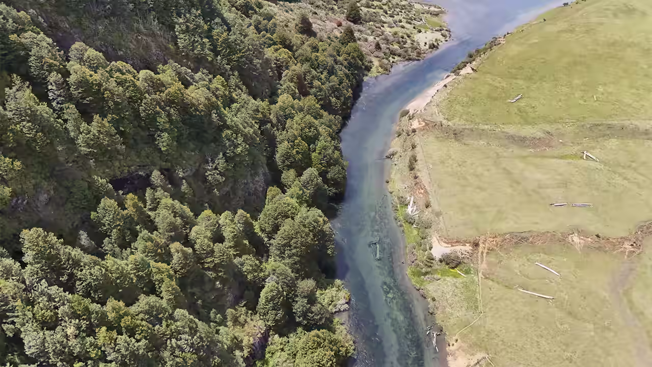 The Paloma from above: native forest on one bank, open pasture scattered with fallen logs on the other, and a shallow clear channel between them.