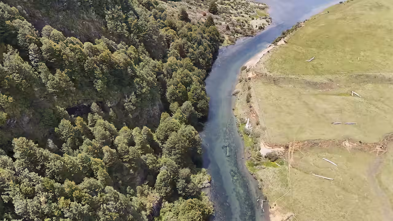 The Paloma River from above: native forest on one bank, open pasture on the other