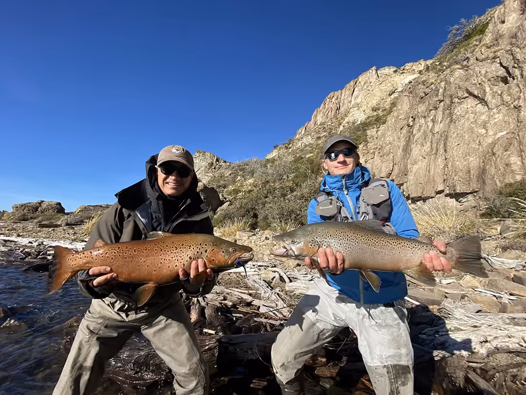 Migratory Browns