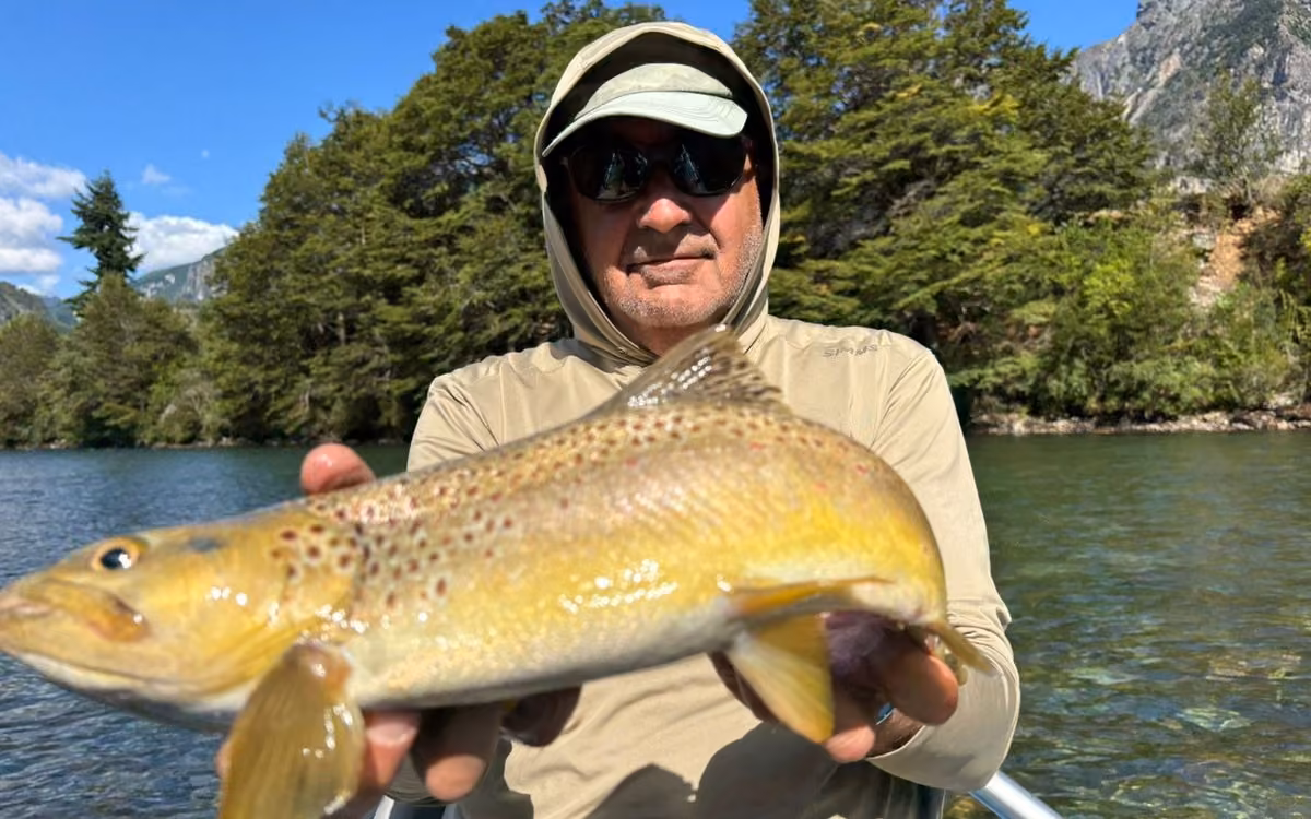 An angler in a hooded sun shirt, green cap and dark sunglasses holds a golden brown trout over clear river water, a forested bank and rocky mountain behind, Coyhaique, Chilean Patagonia