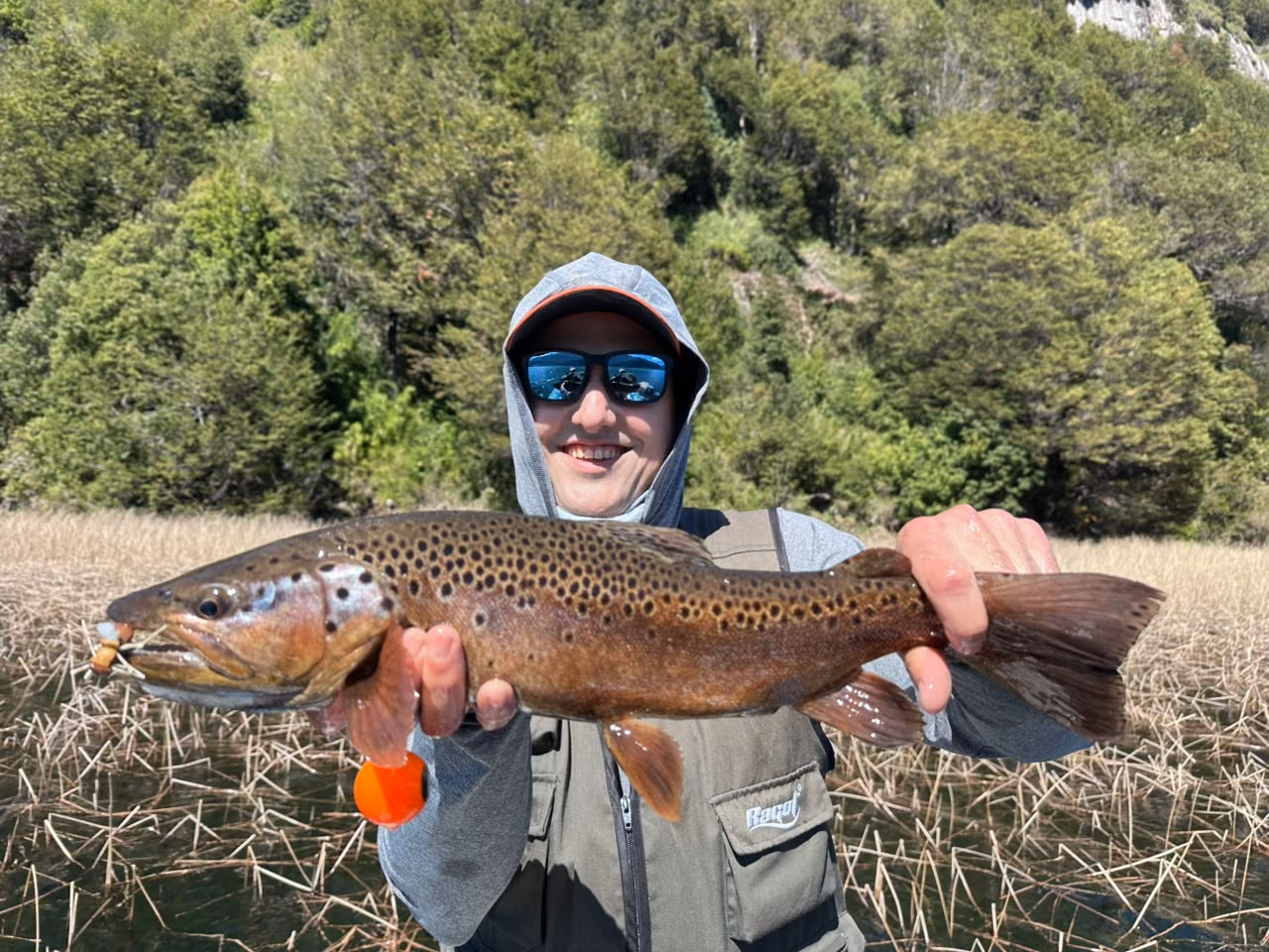 An angler holds a wild brown trout caught on a foam dry fly over the reeds of a lake near Coyhaique, Chilean Patagonia