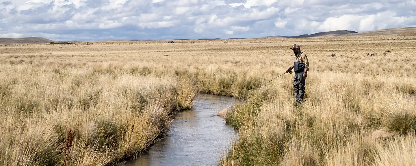 Angler sight-fishing a narrow spring creek in the open Patagonian steppe near Coyhaique