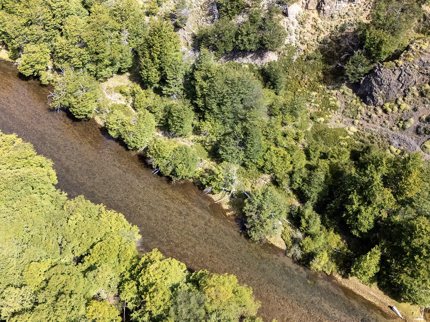 A clear river with a stony bed seen from above near Coyhaique, Chilean Patagonia